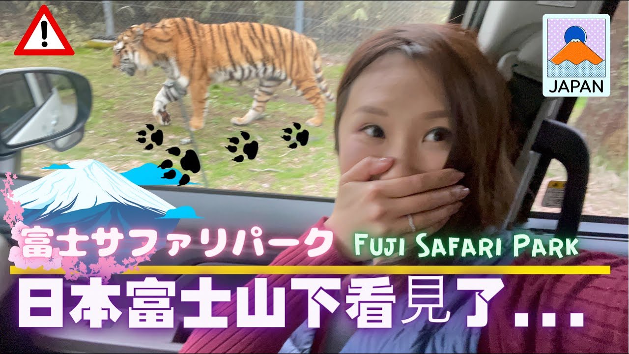 富士山 1｜自驾野生動物園靜岡縣 ｜Fuji Safari park ｜周邊遊 Part 1  #Mtfuji #Fujisafaripark #japan#vlog #travel