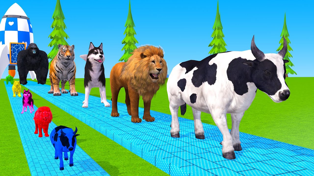 Long Slide Game With Cow Elephant Gorilla Hippopotamus Tiger 3d Animal Game Funny 3d Animals