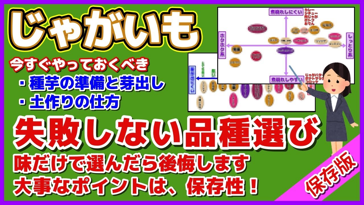 【保存版】じゃがいも栽培　味だけで選んだら後悔します／保存性の分布図も作りました／おすすめ品種／種芋準備と芽出し／土作り／ジャガイモ品種別特徴／分布図／じゃがいも栽培注意点／家庭菜園／初心者向き