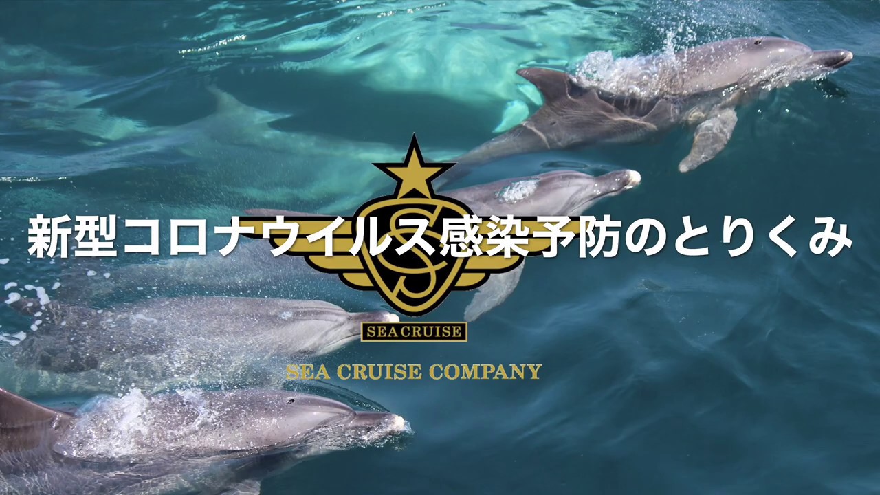 【シークルーズ】コロナウイルス感染予防のとりくみ【クルージング】