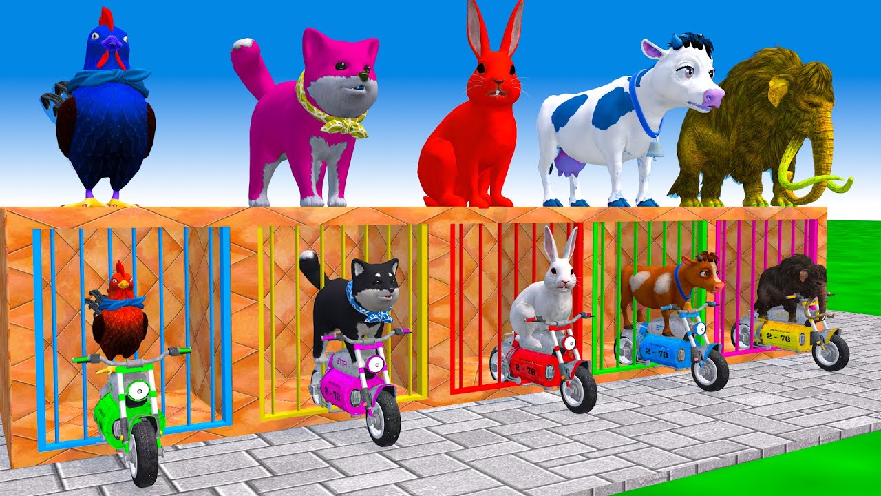 Long Slide Game With Cow Elephant Gorilla Hippopotamus Tiger - 3d Animal Game - Funny 3d Animals