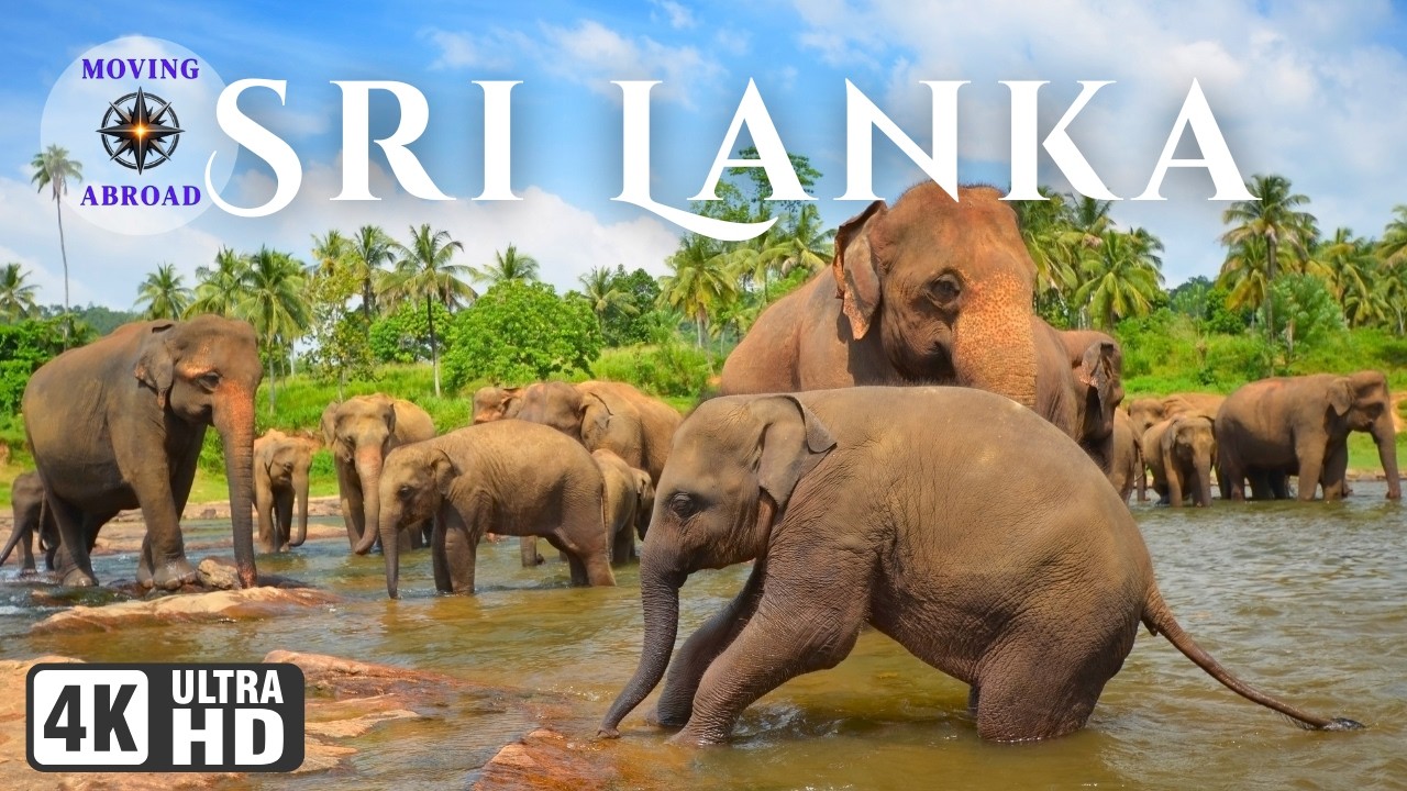 Sri Lanka Travel Guide: The Ultimate 4K Journey
