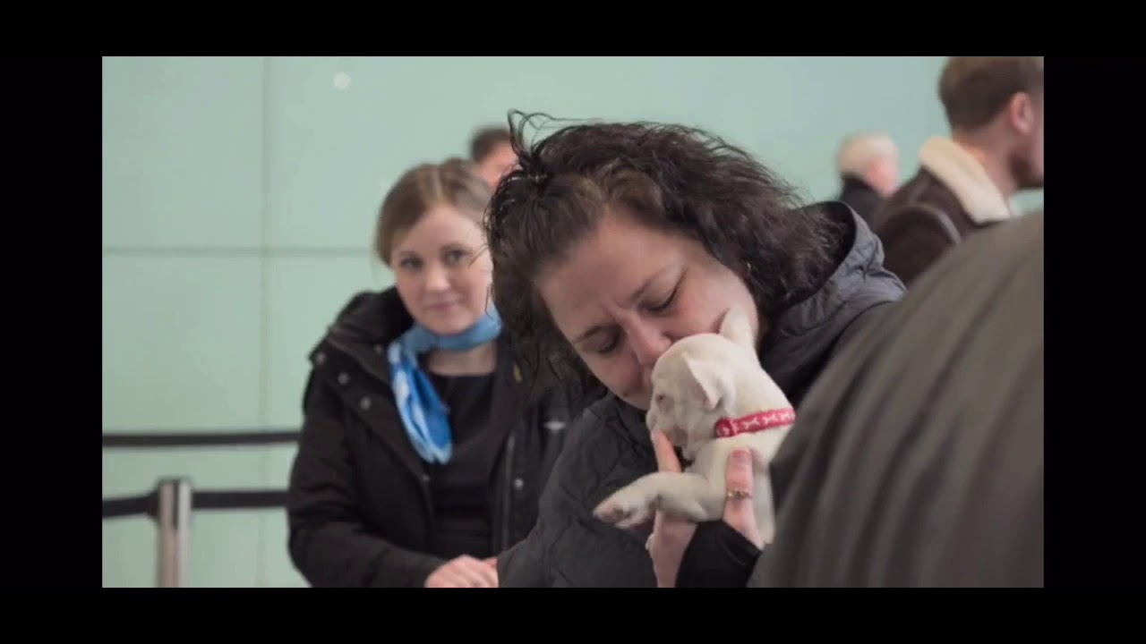Britain’s Busiest Airport, Season 6, Episode 12