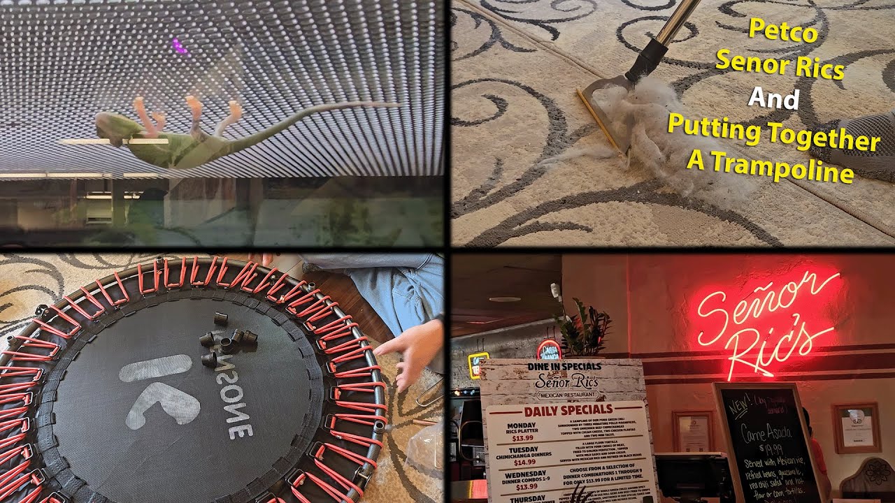 Pet Store Visit, Eating Out, & Replacing an Indoor Trampoline!