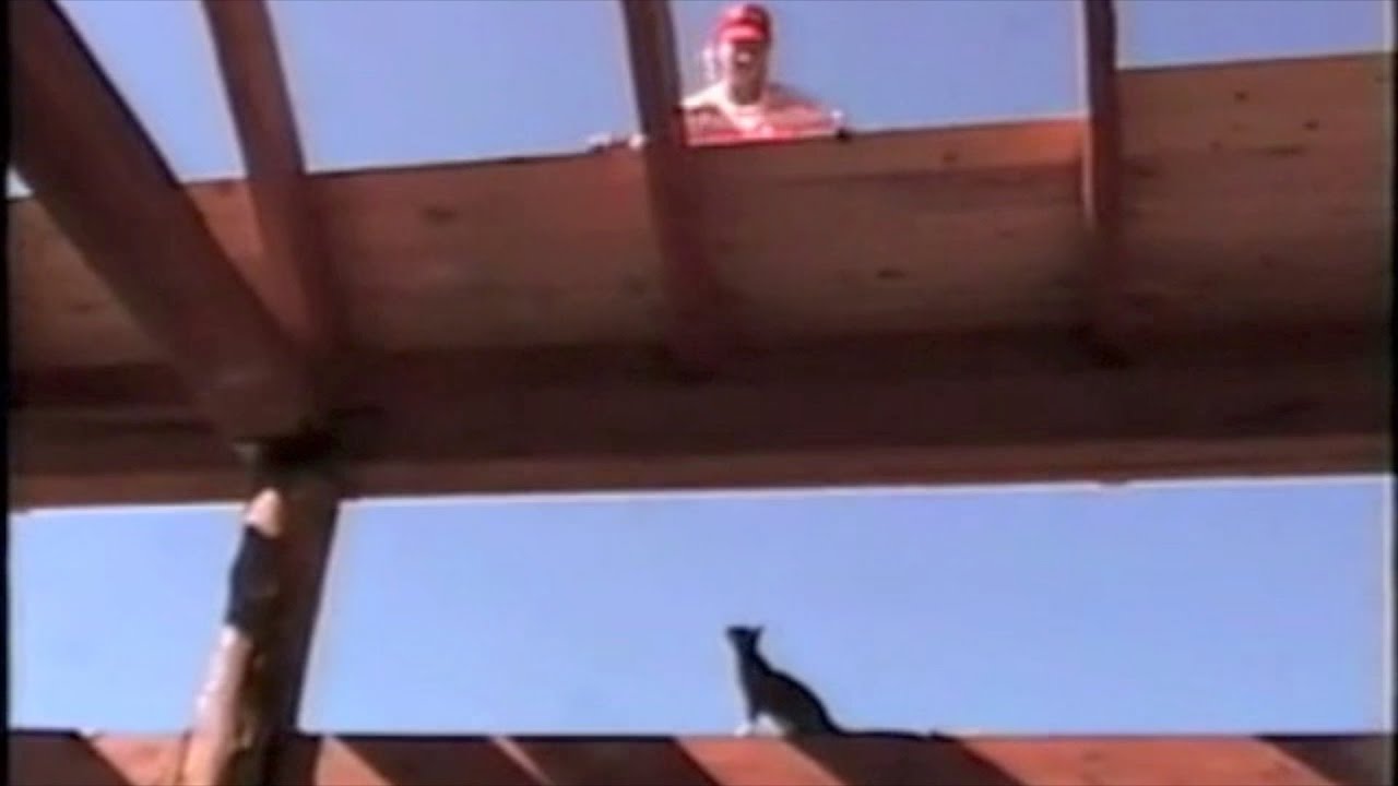 Vertical-log-house roofing