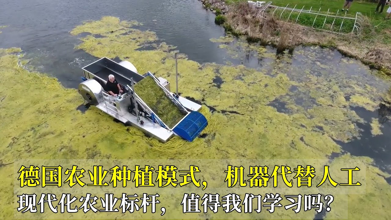 德国农业种植模式，机器代替人工，现代化农业标杆，值得我们学习吗？
