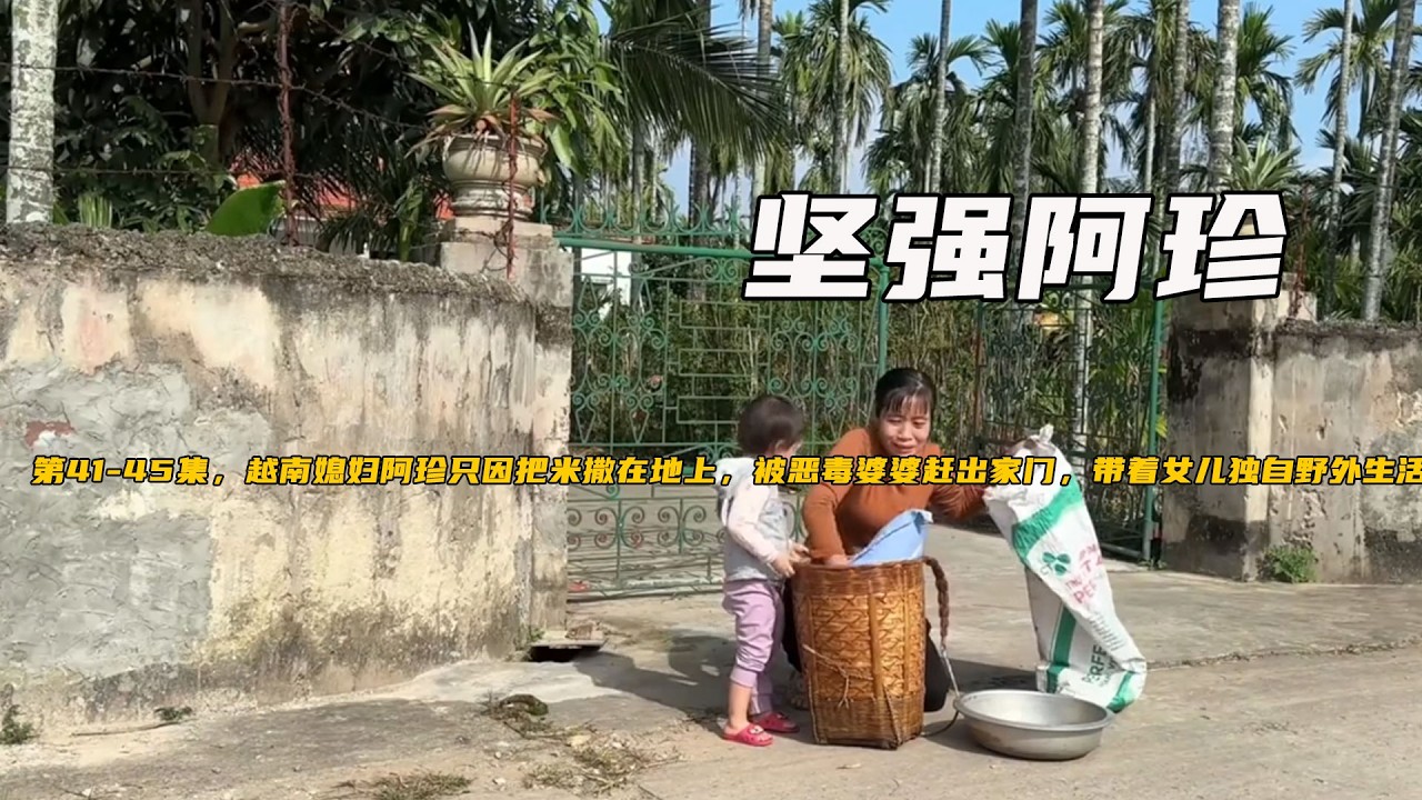 第41-45集，越南媳婦阿珍只因把米撒在地上，被惡毒婆婆趕出家門，帶着女兒獨自野外生活。《堅強阿珍》