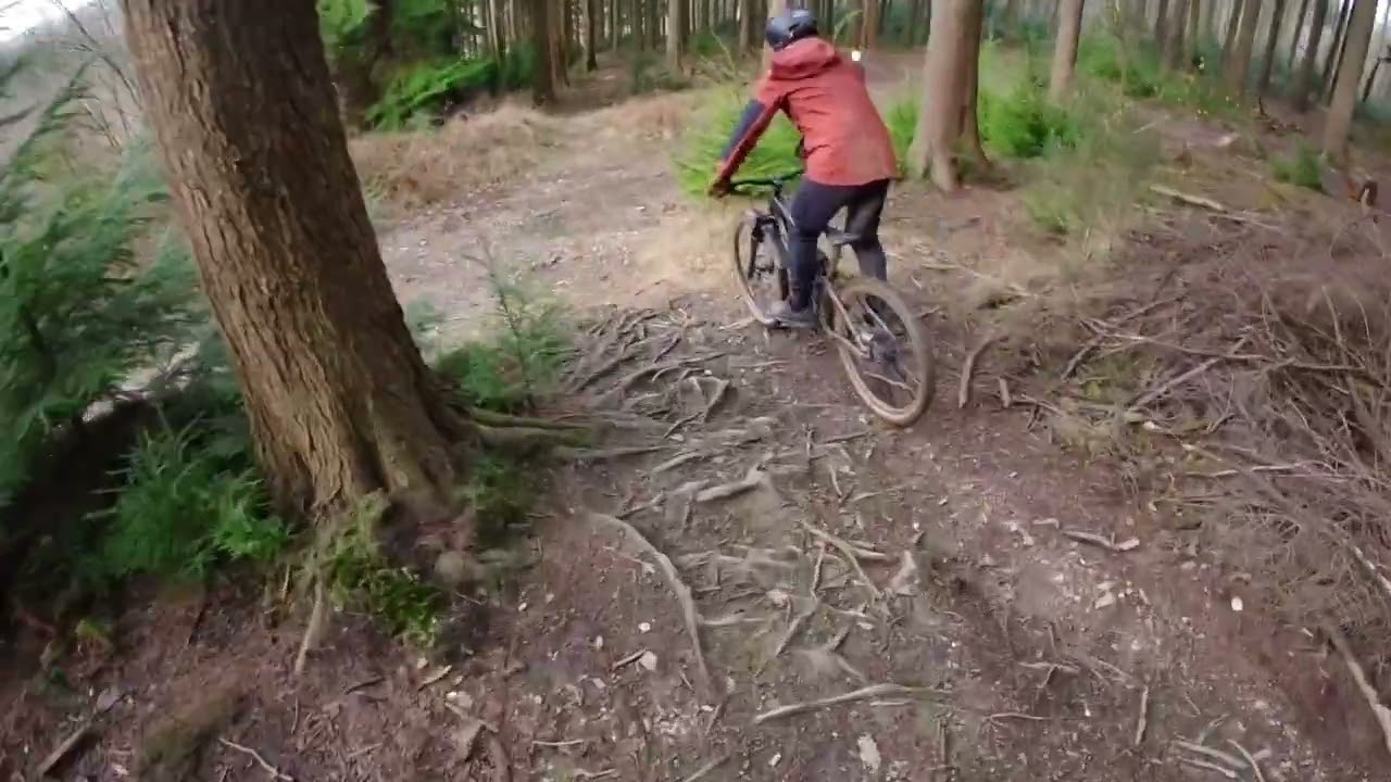 New bike day at Spanish side and Cann Woods part 2