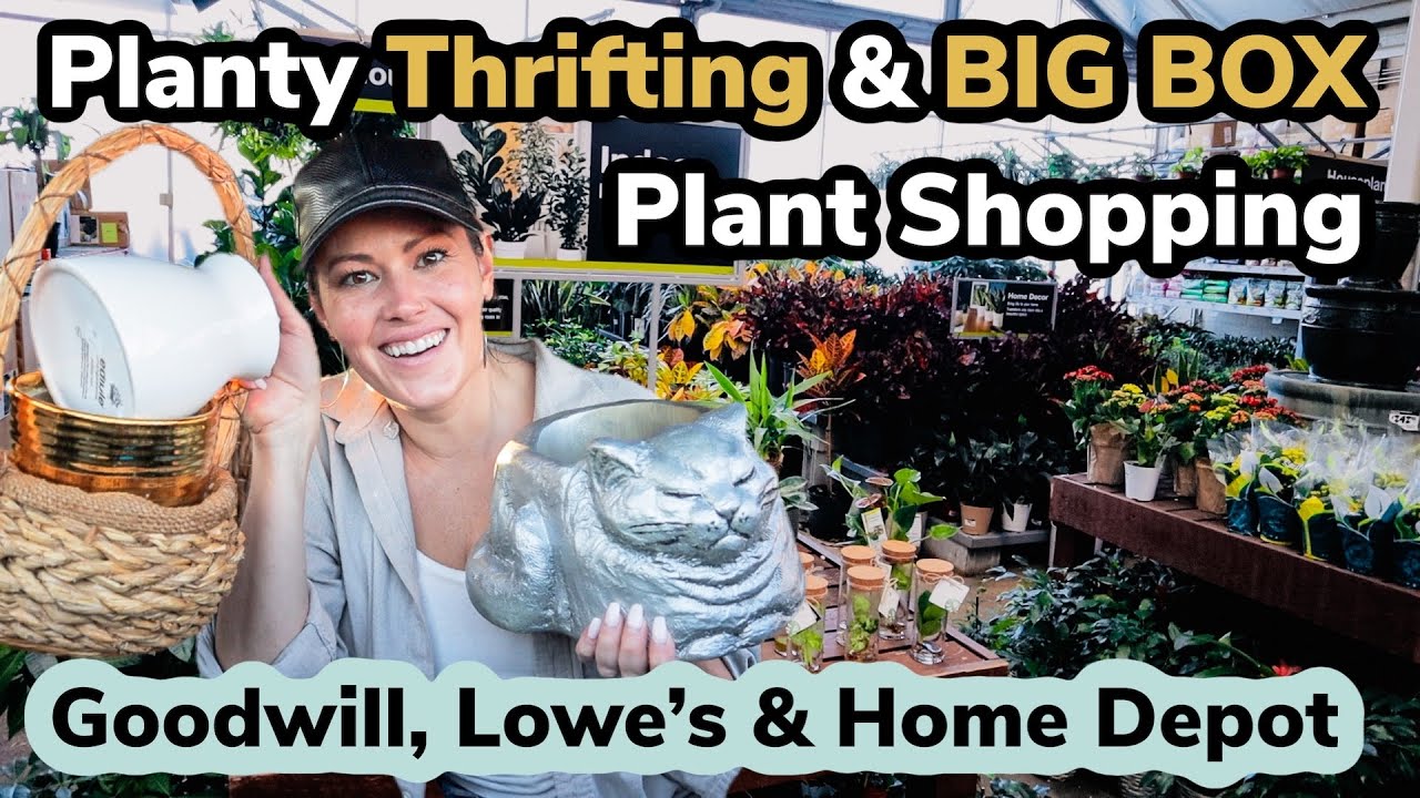 $10 Plants! Thrifting & Big Box Plant Shopping - Lowe's, Home Depot, Goodwill Thrift With Me & Haul