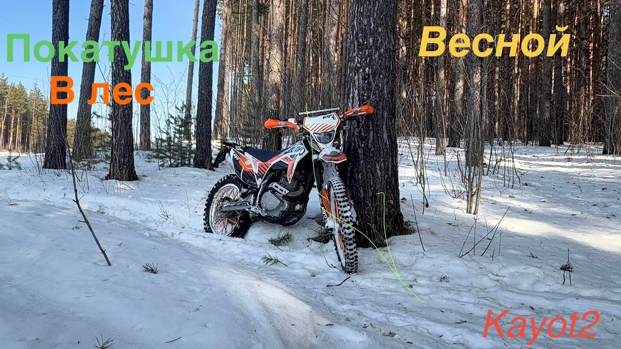 Весенняя Покатушка с другом в лес 🌳. 