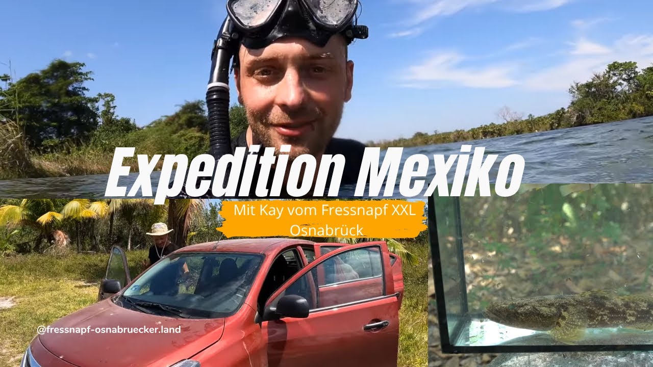 Expedition Mexiko - Teil 5 Ein unglaublicher Fang, Erkundung neuer Gewässer und Wassertest. 