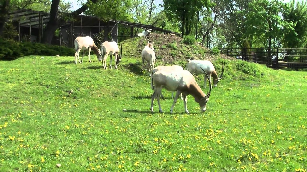 Płocki Ogród Zoologiczny