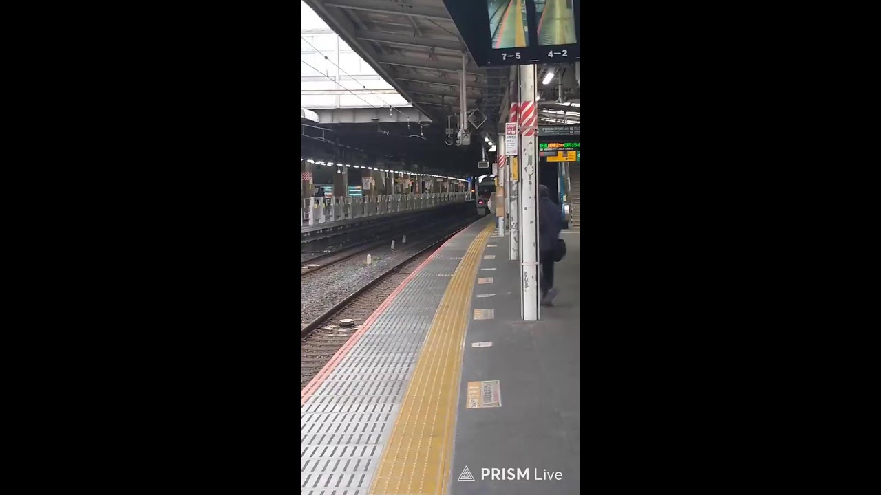 Nao-1(なおいち) live 東京駅にいます