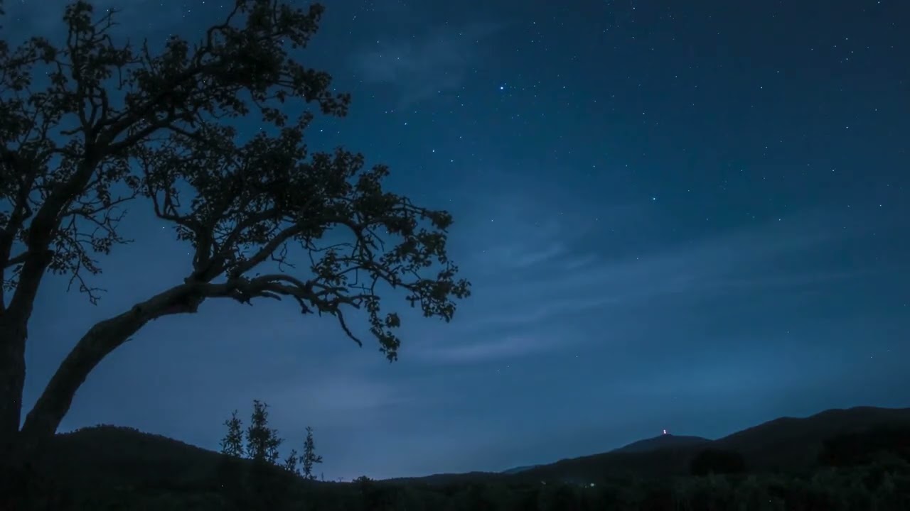Durma em Paz 🌙 Sons de Paz para uma Noite Tranquila