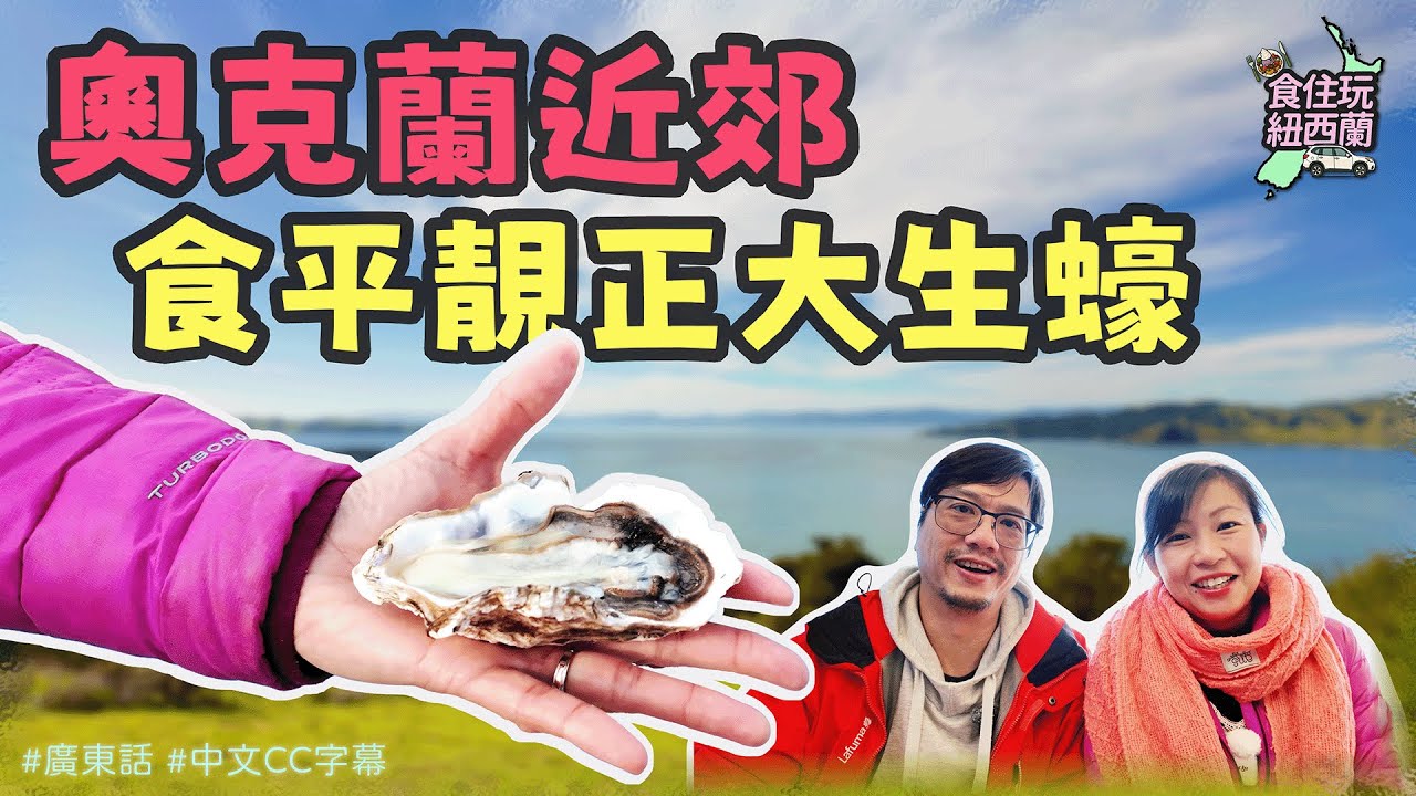 奧克蘭美食 | 海鮮市場外的超值選擇！早餐食超大生蠔 & 輕鬆郊外半日遊 #奧克蘭 #紐西蘭 #紐西蘭海鮮 #紐西蘭生蠔 #紐西蘭旅遊 #炸魚薯條 #生鮮生蠔
