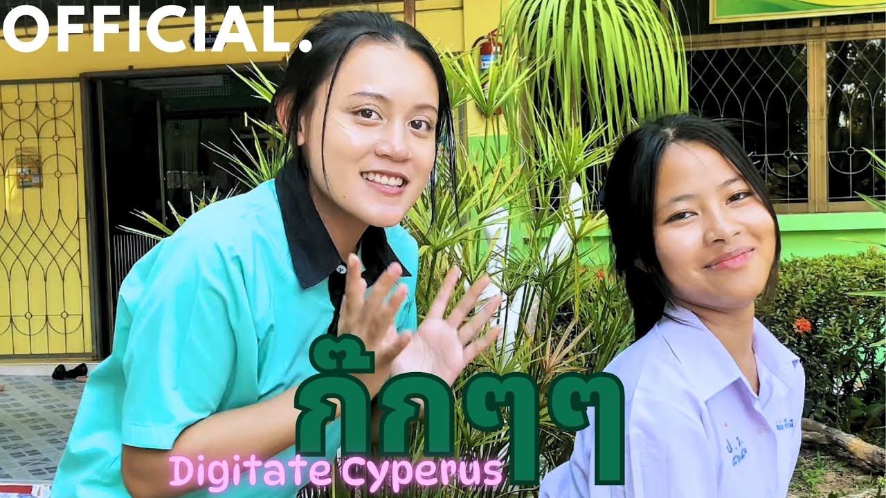 ก๊กๆๆ - Digitate Cyperus【OFFICIAL MV】