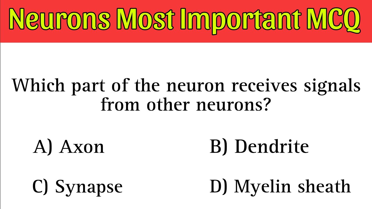 Neurons Mcq | Neurons Mcq question