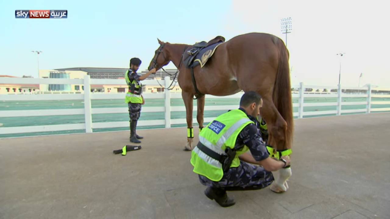 شرطة الخيالة تعود إلى شوارع أبوظبي