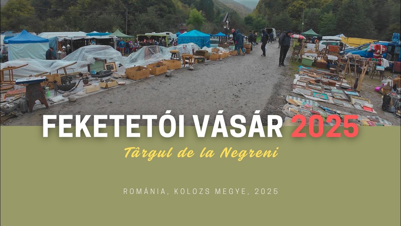KOLOZS: Feketetói Vásár 2025 / Târgul de la Negreni (263)