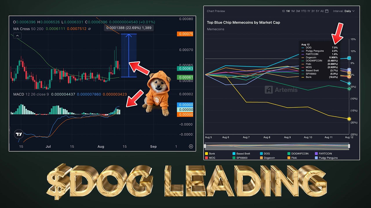 $DOG (Bitcoin) Gains Leading Memecoin Sector 🏆
