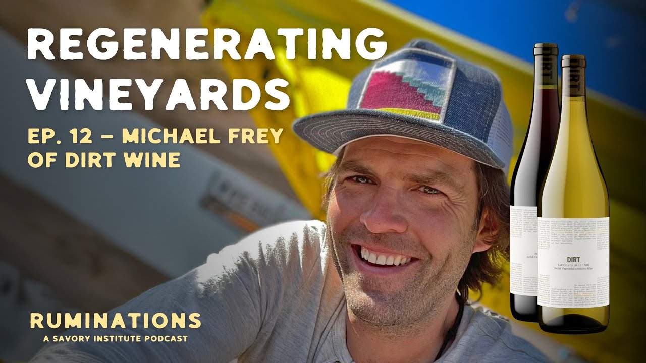 This Regenerative Vineyard is Redefining Terroir