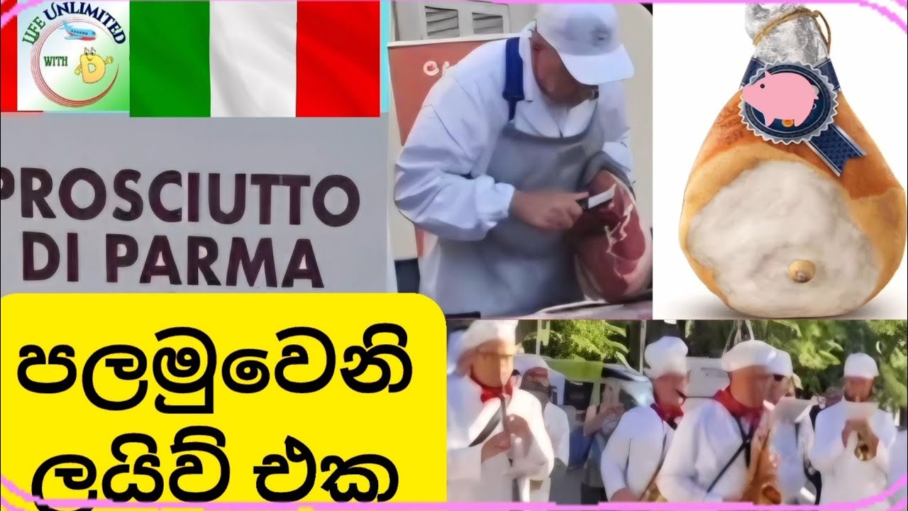 🔴  තේරුම් ගන්න නම් අවසානය බලන්නම වෙනවා 🐖