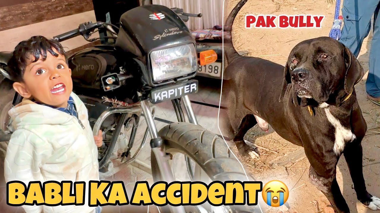 Pak Bully Mil Gaya Road Me😱 Babli Ka Kisi Ne Accident Kar Diya
