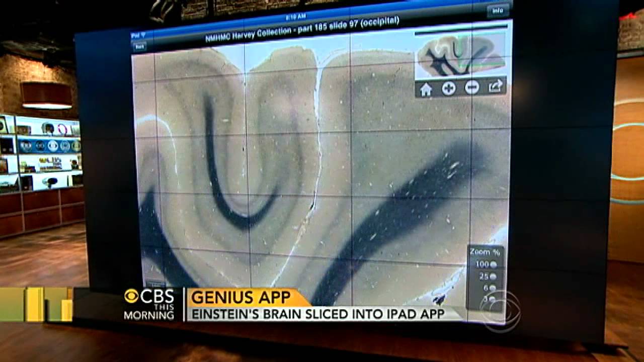 Einstein's brain now available on the iPad