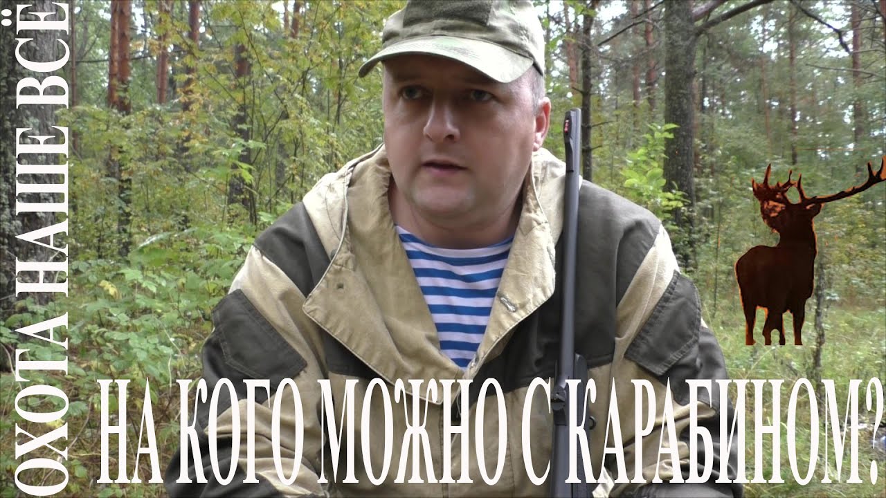 На кого и когда можно охотиться с нарезным оружием.