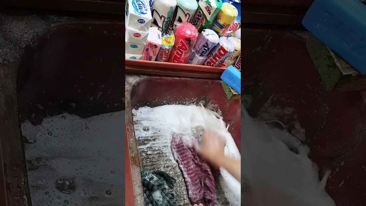 Zote blanco 🤭 Lavando a mano