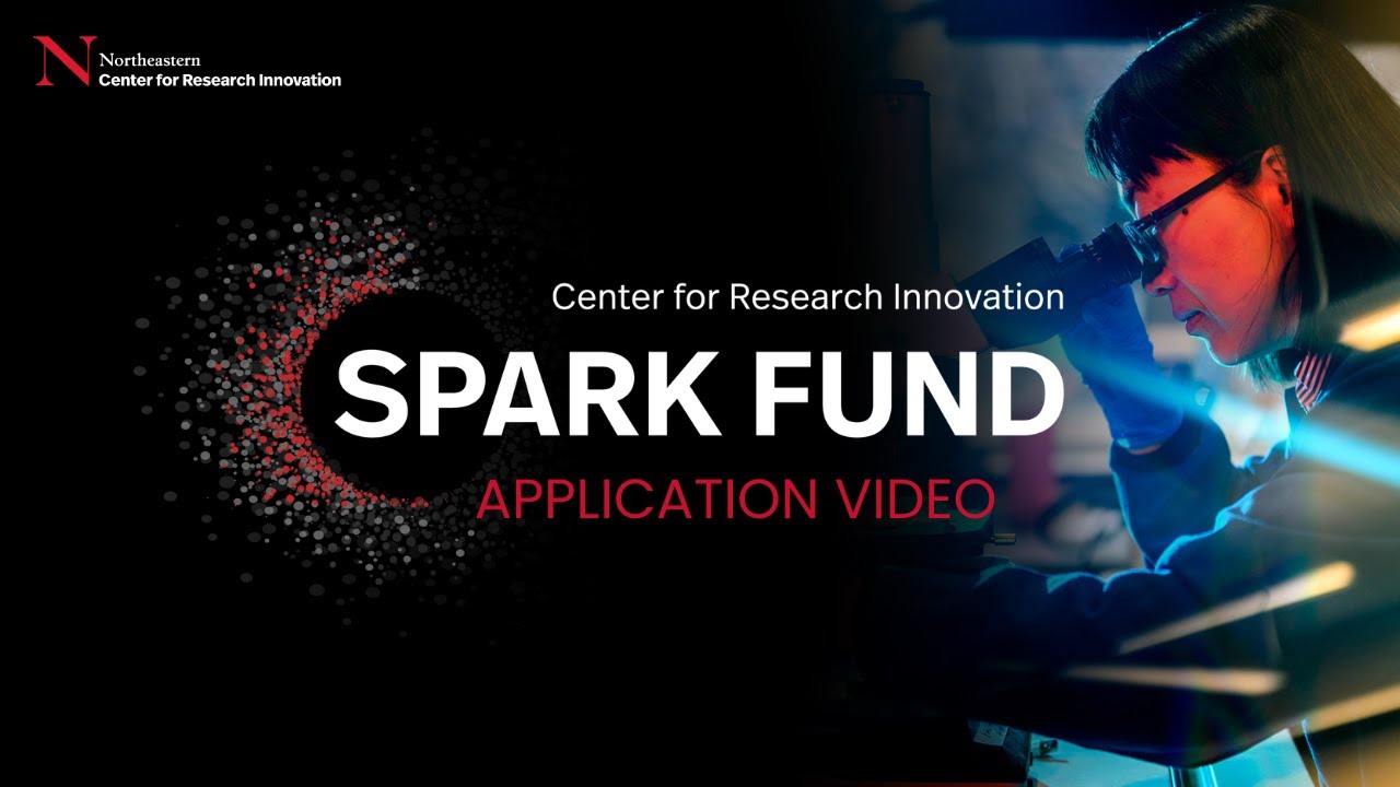 Spark Fund application video