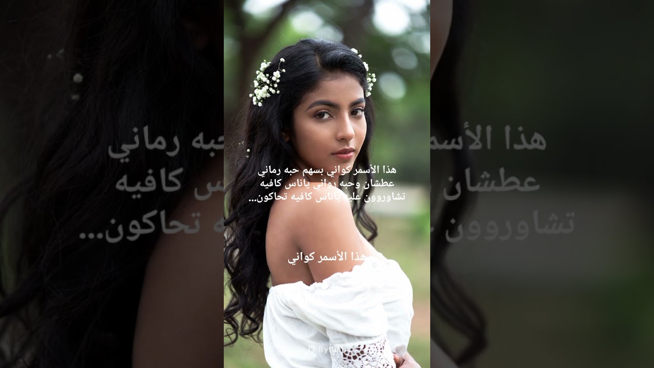 ٦ فبراير ٢٠٢٦