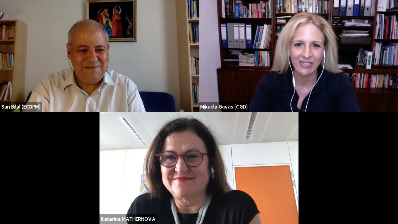 A Conversation on the European Financial Architecture for Development with Katarína Mathernová