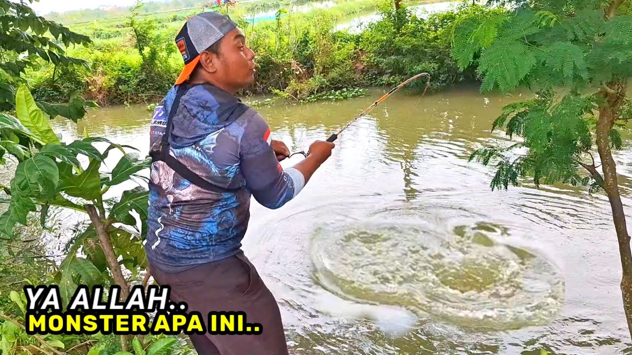 Mimpi apa aku! Mancing di Dam dapat monster monster segede ini