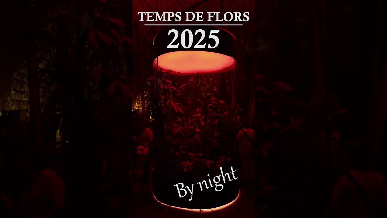 Temps de flors 2025 