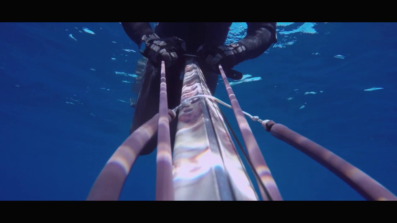 Elastici Performer 2 - Elastici Arbalete | Omer