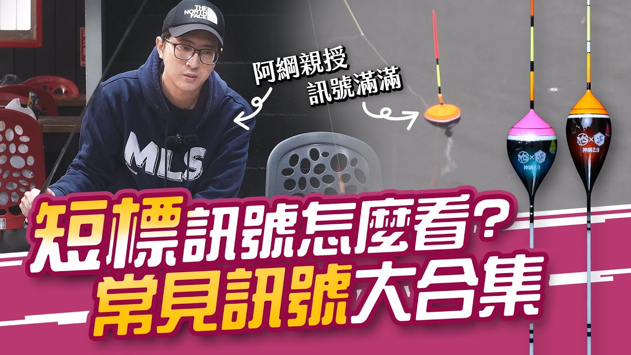 短標訊號怎麼看？常見訊號大合集【MLS蝦戰天下】#17shrimp #台湾のエビ釣り #shrimpfishing #새우낚시