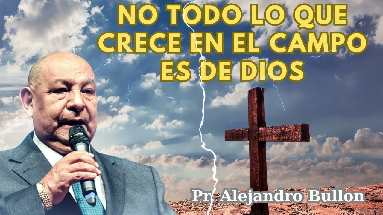 Pr  Alejandro Bullon   Eres cizaña o eres trigo#28