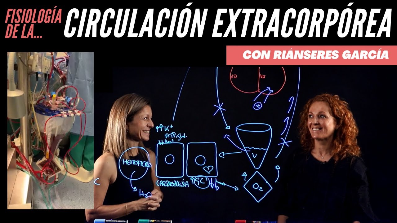 Fisiología de la Circulación Extracorpórea