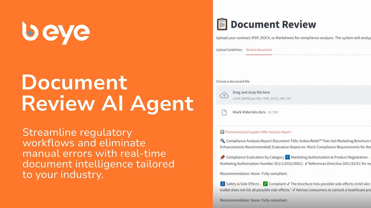 Document Review Agent