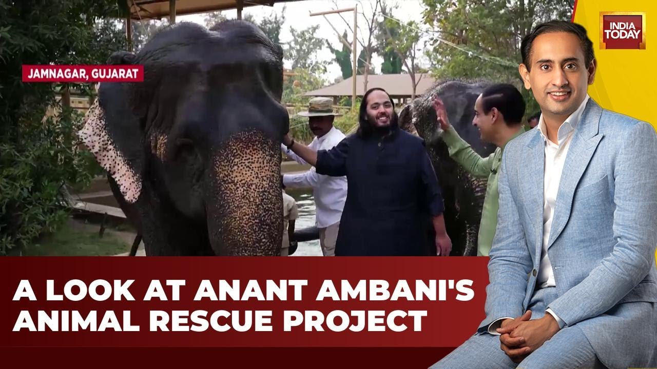 Anant Ambani's Animal Rescue Mission Unveiled on Jab We Met With Rahul Kanwal | India Today News