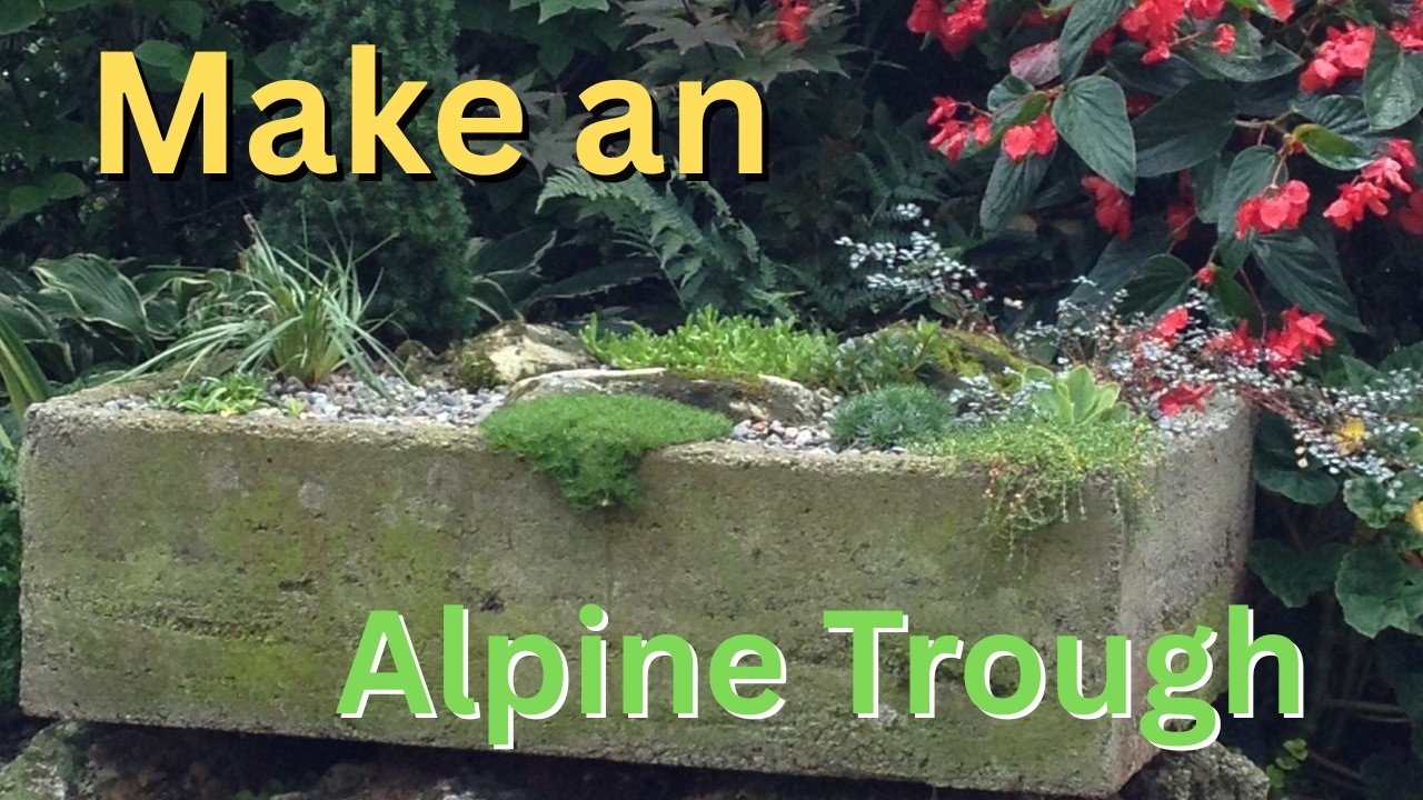 Ep 39 How to build a Hypertufa/Alpine Trough