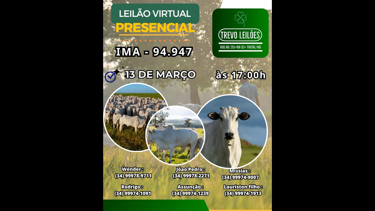 Leilão Presencial e Virtual  na Trevo Leilões, FRUTAL-MG - Dia 13/03/2026