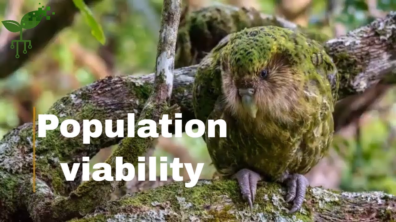 Population viability: Introduction | Earth Resources | meriSTEM