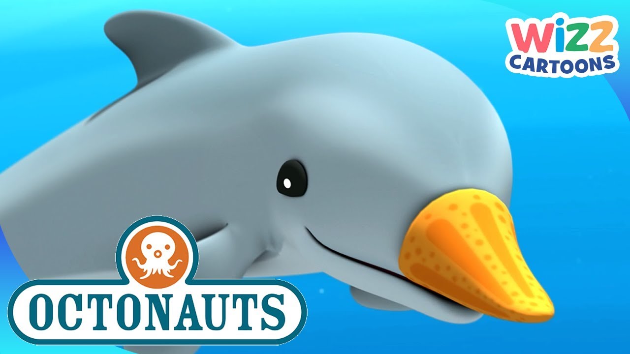 @Octonauts - Disguised Dolphins | Compilation | Wizz Cartoons