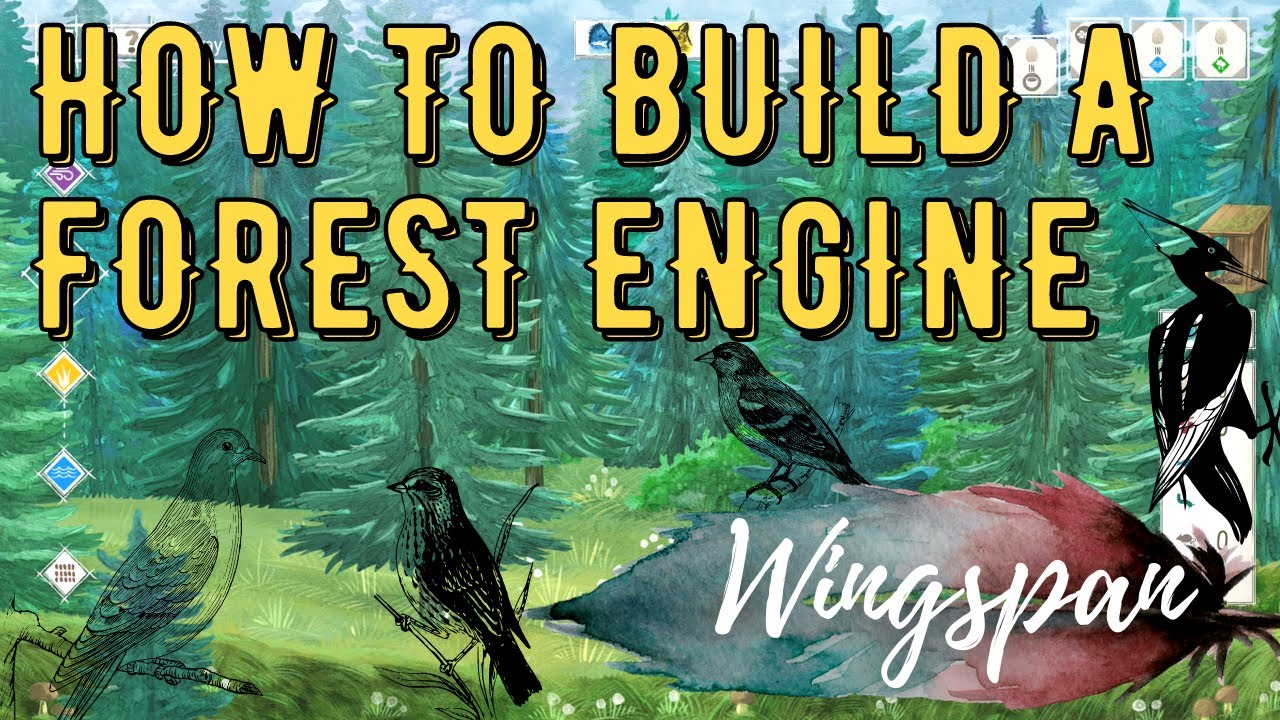 Wingspan Strategy | How to build a forest engine (ft. my opponent)
