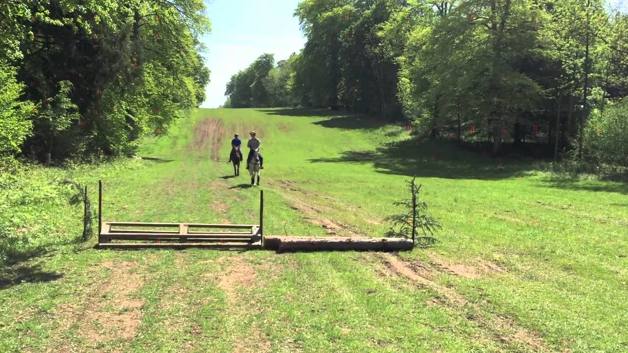 Polo - A Beginners Journey With Warren Cass