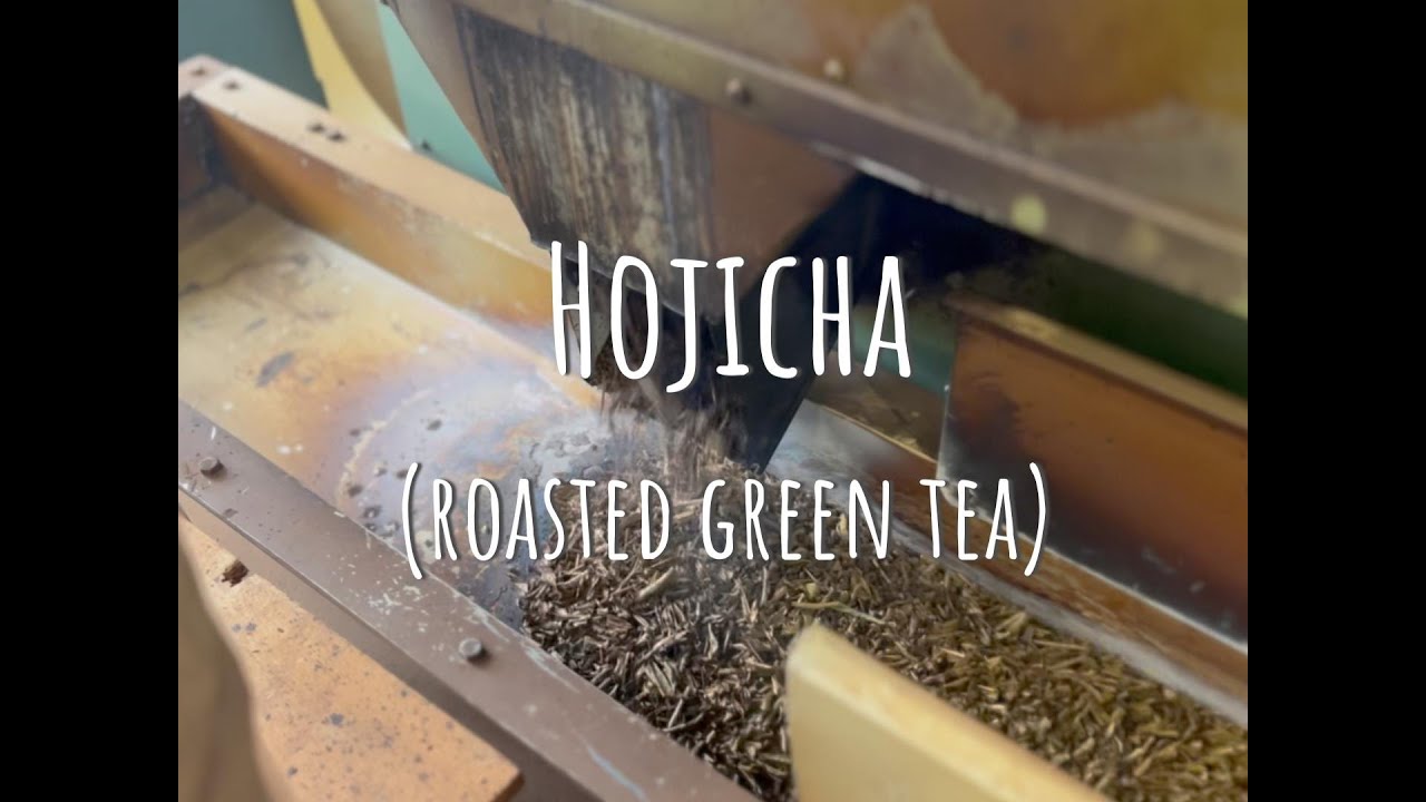 How our organic Hojicha is made