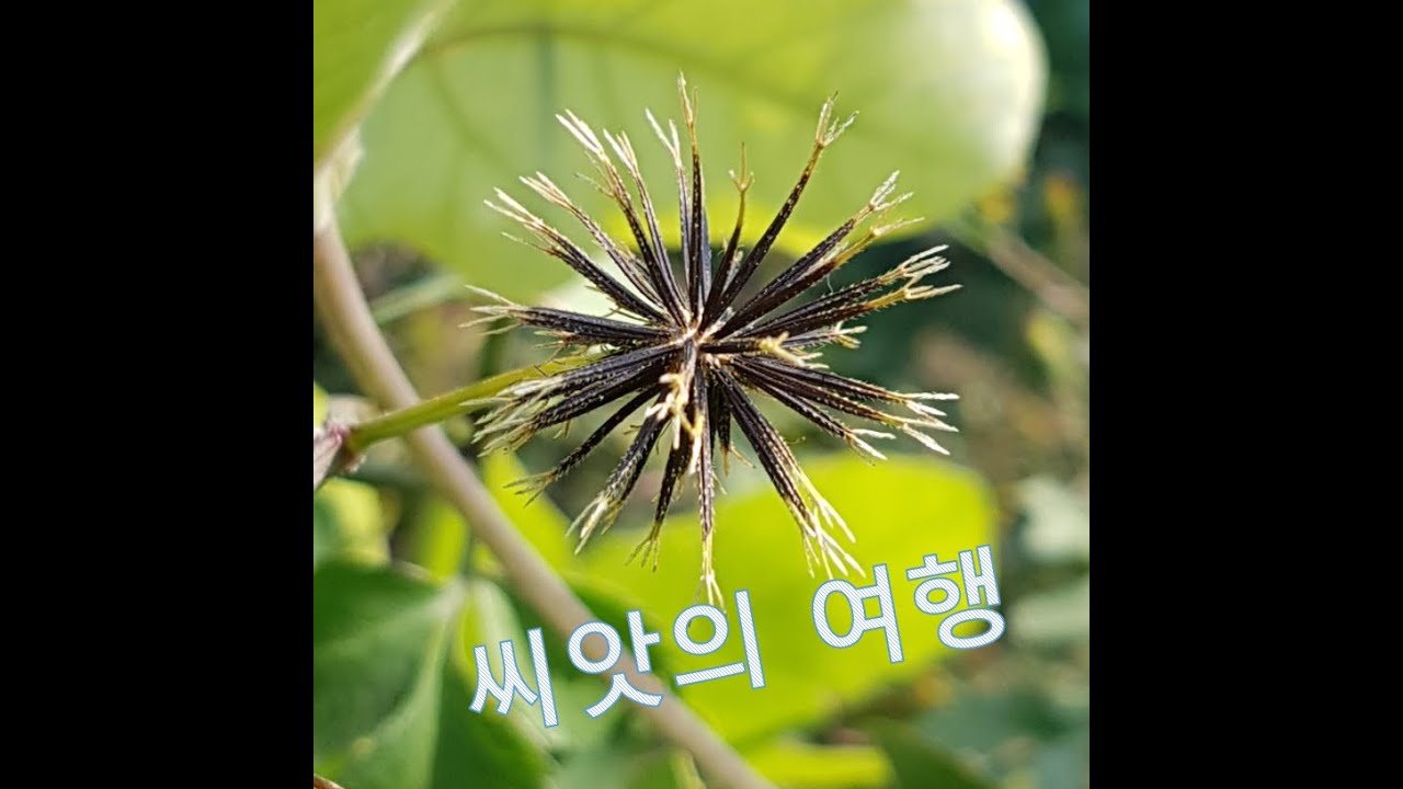 [드림숲] 숲 프로그램-씨앗의 여행