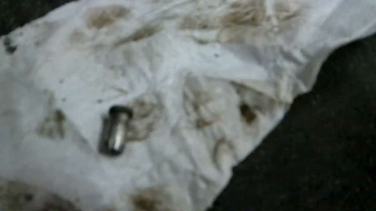 S175 2003 bobcat chaincase oil change